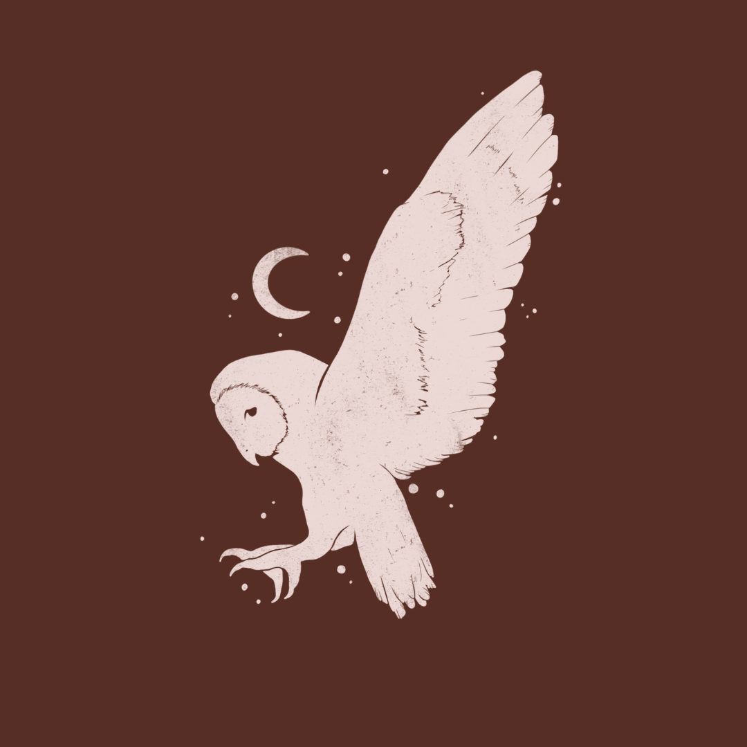 L'alliée des plumes | Alpha-lecture et bêta-lecture professionnelle